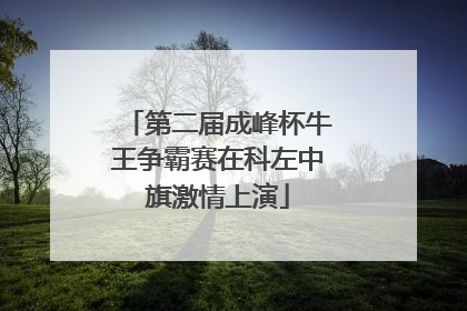 第二届成峰杯牛王争霸赛在科左中旗激情上演
