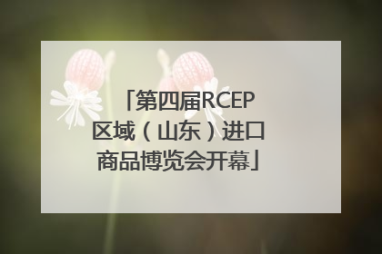 第四届RCEP区域（山东）进口商品博览会开幕