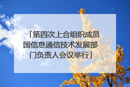 第四次上合组织成员国信息通信技术发展部门负责人会议举行