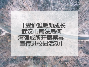 翼护雏鹰助成长 武汉市司法局何湾强戒所开展禁毒宣传进校园活动