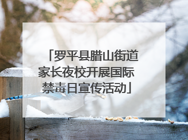 罗平县腊山街道家长夜校开展国际禁毒日宣传活动