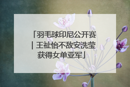 羽毛球印尼公开赛｜王祉怡不敌安洗莹 获得女单亚军