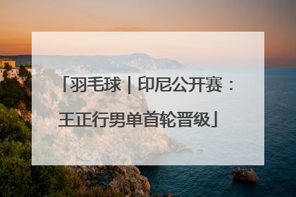羽毛球｜印尼公开赛：王正行男单首轮晋级