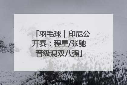 羽毛球｜印尼公开赛：程星/张驰晋级混双八强