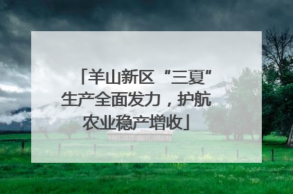 羊山新区“三夏”生产全面发力，护航农业稳产增收