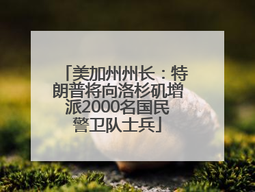 美加州州长：特朗普将向洛杉矶增派2000名国民警卫队士兵