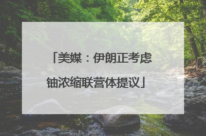 美媒：伊朗正考虑铀浓缩联营体提议