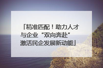 精准匹配！助力人才与企业“双向奔赴” 激活民企发展新动能