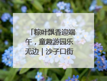 粽叶飘香迎端午，童趣游园乐无边｜沙子口街道儿童端午游园活动圆满落幕