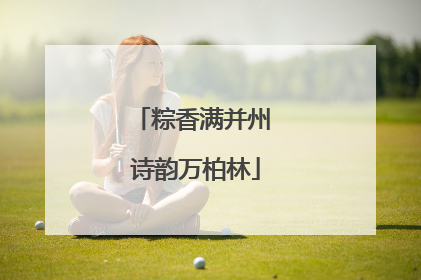 粽香满并州 诗韵万柏林
