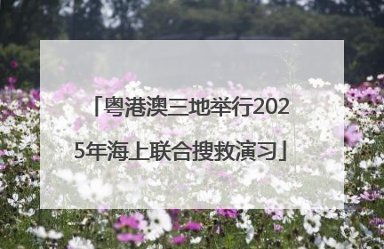 粤港澳三地举行2025年海上联合搜救演习