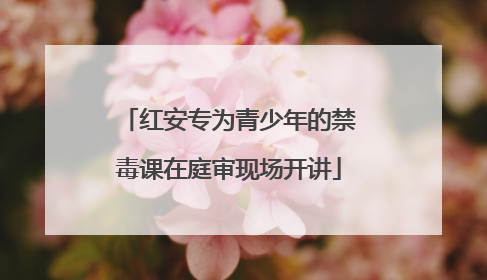 红安专为青少年的禁毒课在庭审现场开讲