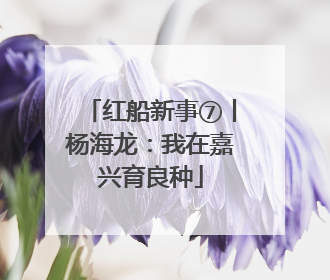 红船新事⑦丨杨海龙：我在嘉兴育良种