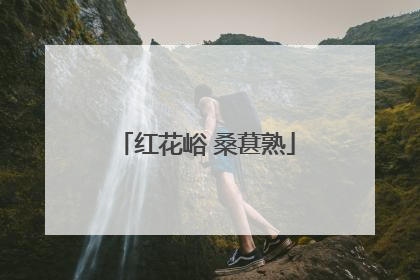 红花峪 桑葚熟