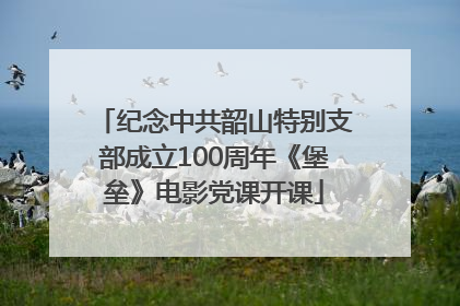 纪念中共韶山特别支部成立100周年《堡垒》电影党课开课