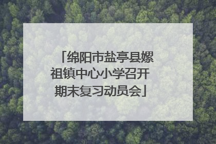 绵阳市盐亭县嫘祖镇中心小学召开期末复习动员会