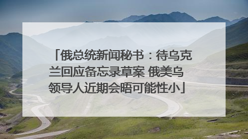 俄总统新闻秘书：待乌克兰回应备忘录草案 俄美乌领导人近期会晤可能性小