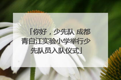 你好，少先队 成都青白江实验小学举行少先队员入队仪式