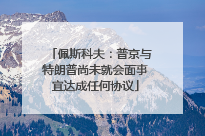 佩斯科夫：普京与特朗普尚未就会面事宜达成任何协议