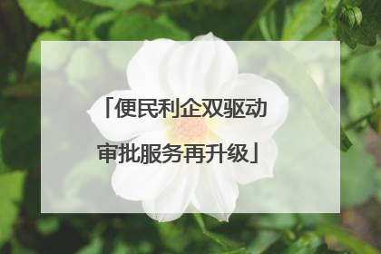 便民利企双驱动 审批服务再升级