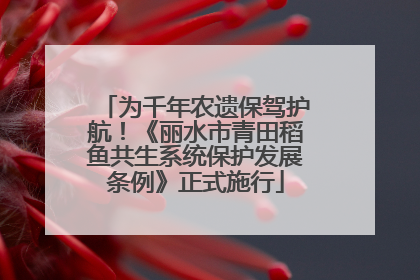 为千年农遗保驾护航！《丽水市青田稻鱼共生系统保护发展条例》正式施行
