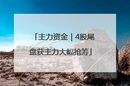 主力资金｜4股尾盘获主力大幅抢筹