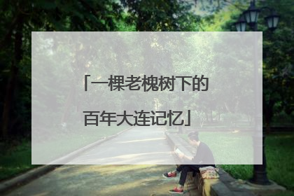 一棵老槐树下的百年大连记忆