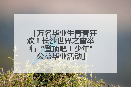 万名毕业生青春狂欢！长沙世界之窗举行“登顶吧！少年”公益毕业活动