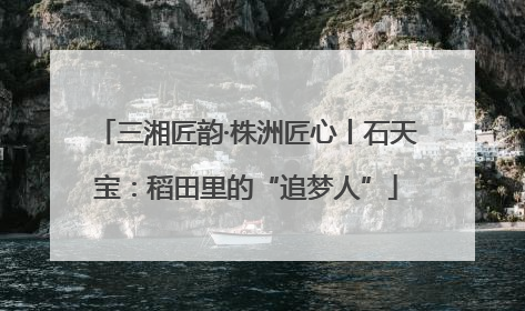 三湘匠韵·株洲匠心丨石天宝：稻田里的“追梦人”