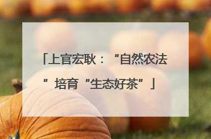 上官宏耿：“自然农法”培育“生态好茶”