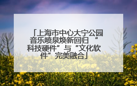 上海市中心大宁公园音乐喷泉焕新回归 “科技硬件”与“文化软件”完美融合