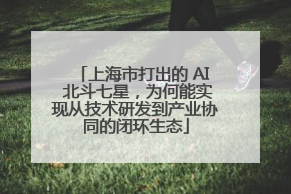 上海市打出的 AI 北斗七星，为何能实现从技术研发到产业协同的闭环生态