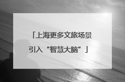 上海更多文旅场景引入“智慧大脑”