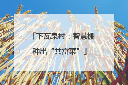 下瓦泉村：智慧棚种出“共富菜”