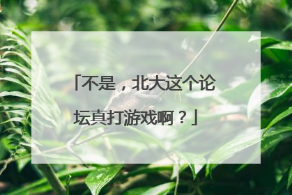 不是，北大这个论坛真打游戏啊？