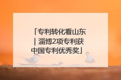 专利转化看山东｜淄博2项专利获中国专利优秀奖