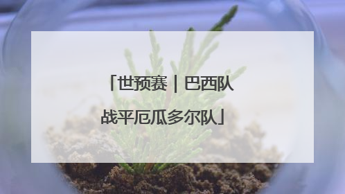 世预赛｜巴西队战平厄瓜多尔队