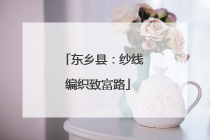 东乡县：纱线编织致富路