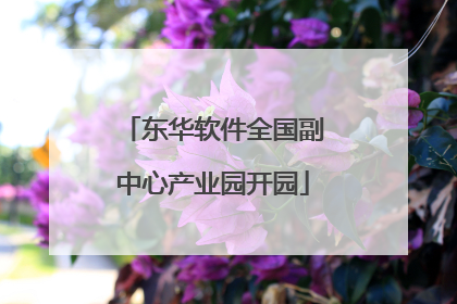 东华软件全国副中心产业园开园