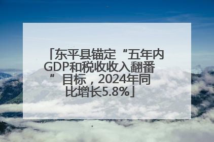 东平县锚定“五年内GDP和税收收入翻番”目标，2024年同比增长5.8%
