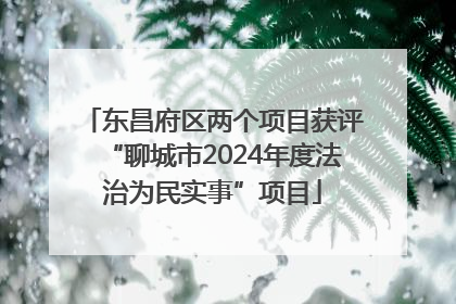 东昌府区两个项目获评“聊城市2024年度法治为民实事”项目