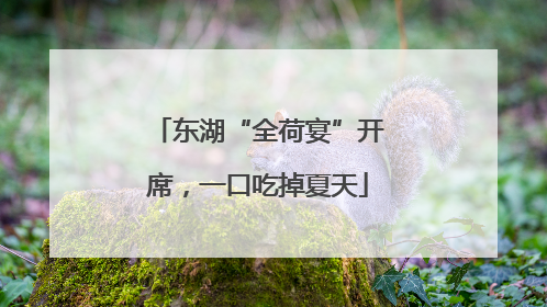 东湖“全荷宴”开席，一口吃掉夏天