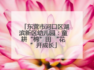 东营市河口区湖滨新区幼儿园：童耕“棉”田 “花”开成长