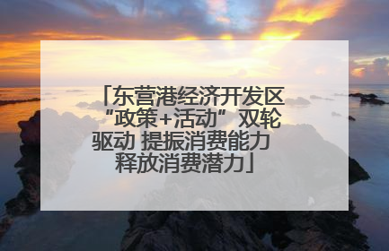 东营港经济开发区“政策+活动”双轮驱动 提振消费能力 释放消费潜力