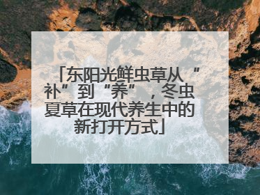 东阳光鲜虫草从“补”到“养”，冬虫夏草在现代养生中的新打开方式