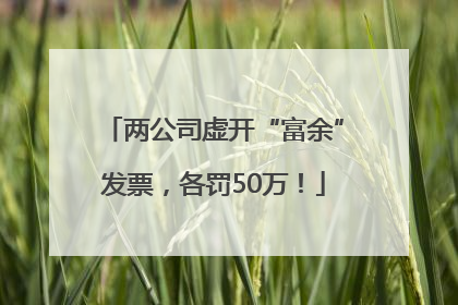 两公司虚开“富余”发票，各罚50万！