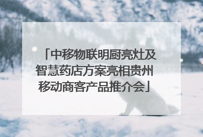 中移物联明厨亮灶及智慧药店方案亮相贵州移动商客产品推介会
