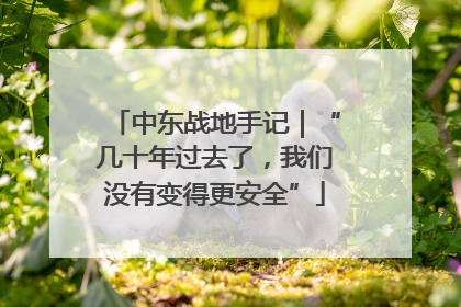 中东战地手记｜“几十年过去了，我们没有变得更安全”
