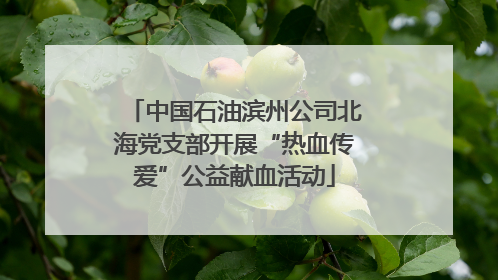 中国石油滨州公司北海党支部开展“热血传爱”公益献血活动