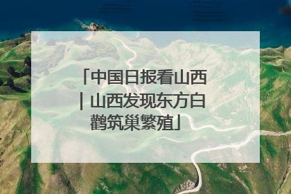 中国日报看山西｜山西发现东方白鹳筑巢繁殖